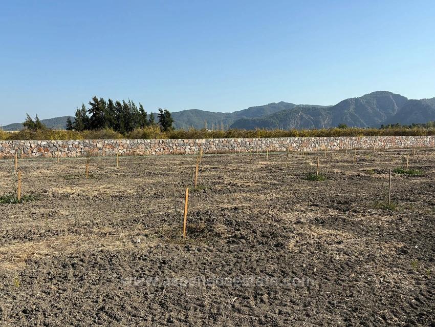 19,663 M² Farm Land And House In Eskiköy