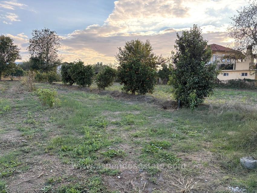 7,450 M² Plot Of Land For Sale In Dalyan With 5% Zoning.