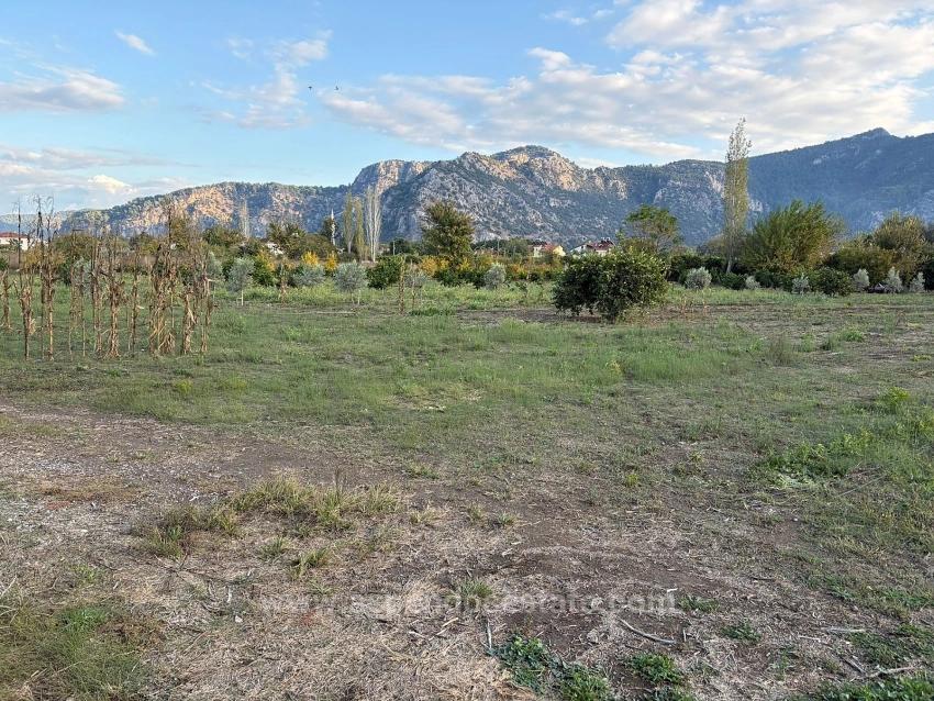 7,450 M² Plot Of Land For Sale In Dalyan With 5% Zoning.