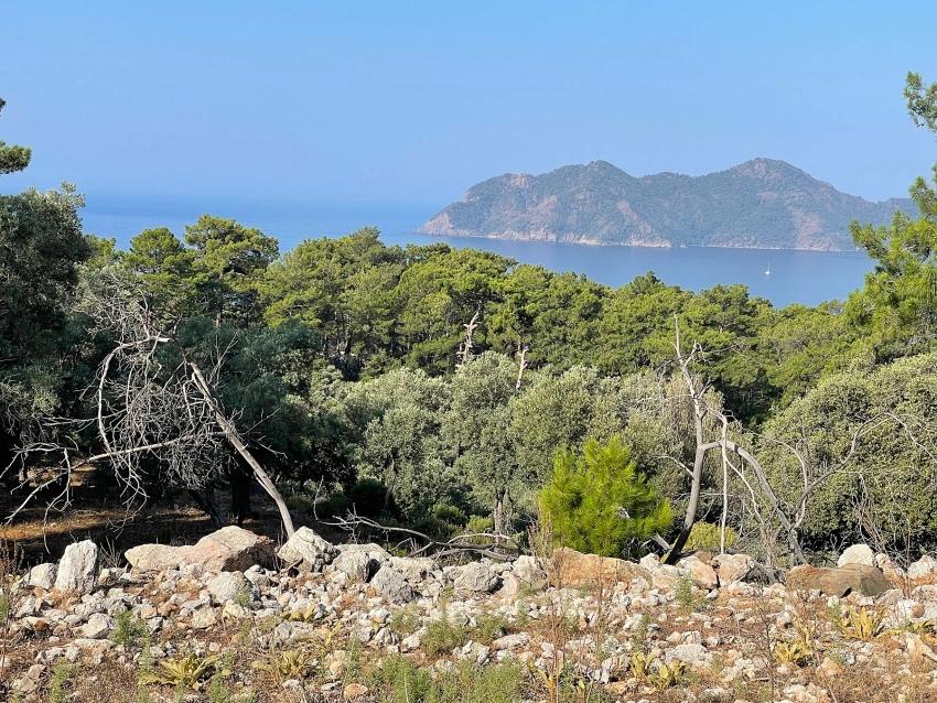 Bargain Real Estate Land For Sale With Sea View In Ekincik Çandır Arasın