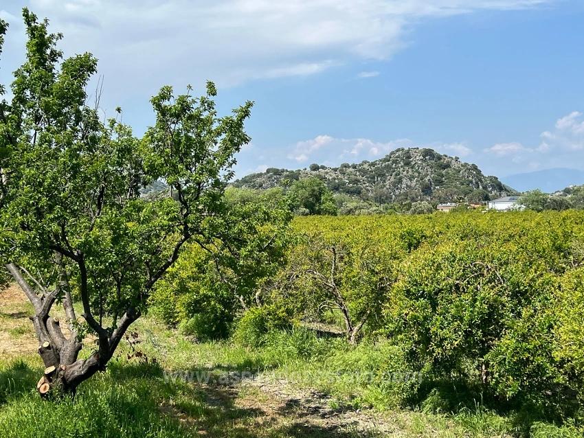 5,100 M² Plot Of Land For Sale In Dalyan, Maraş Area, Zoned For 5% Residential Use.