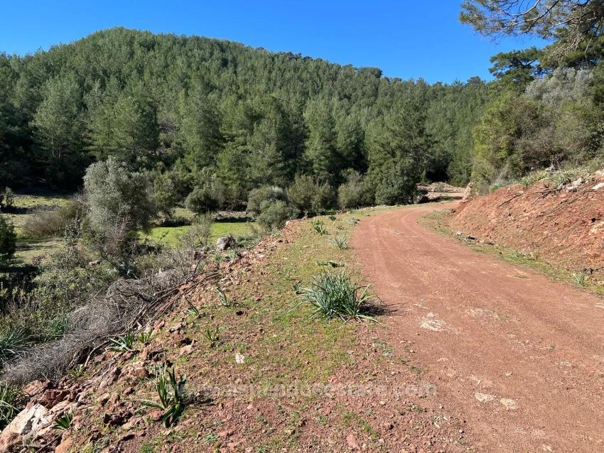 Land For Sale In Gökbel, Surrounded By Nature And Forest.