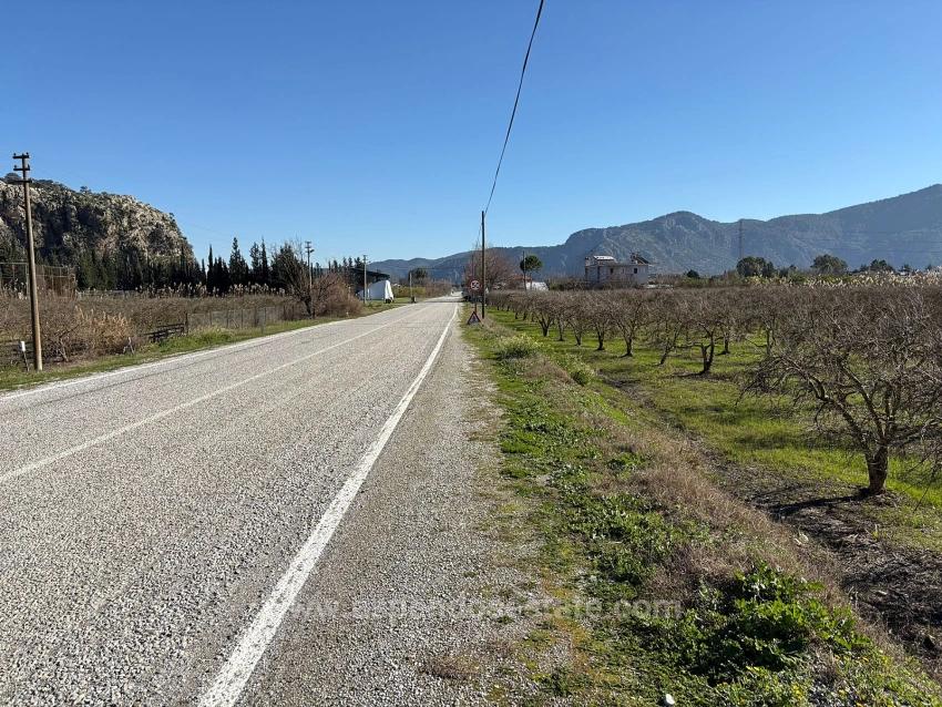 5985M2 Plot Of Land For Sale In Dalyan, Zoned For 5% Vineyard/Orchard Use.