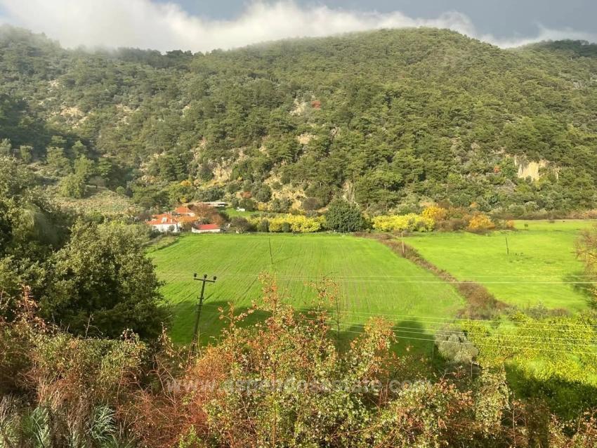 35,000 M² Farm Land For Sale In Çandır, Köyceğiz.