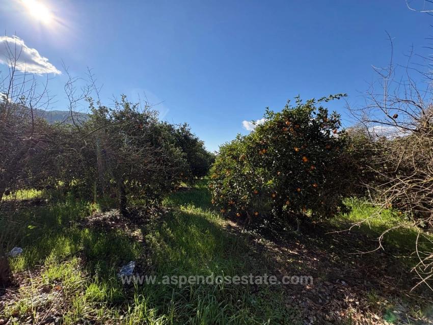 4,326 M² Plot Of Land For Sale In The Residential Area Of Okçular.