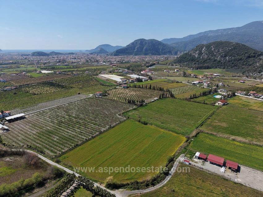 17.550M2 Vineyard-Bahce For Sale Close To Dalyan Center