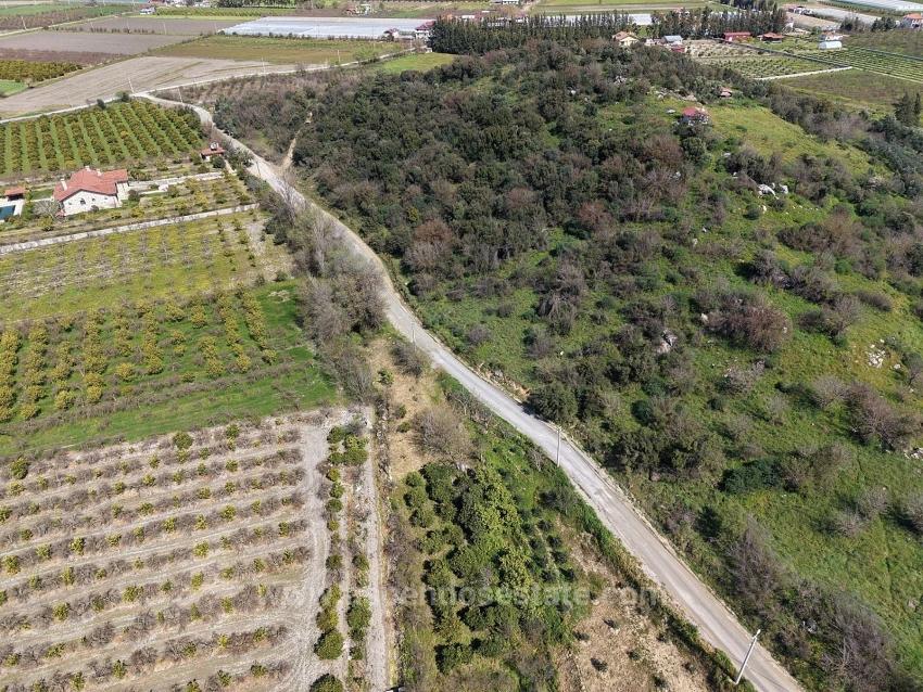 16.710M2 Pomegranate Garden For Sale With Lake View In Eskiköy