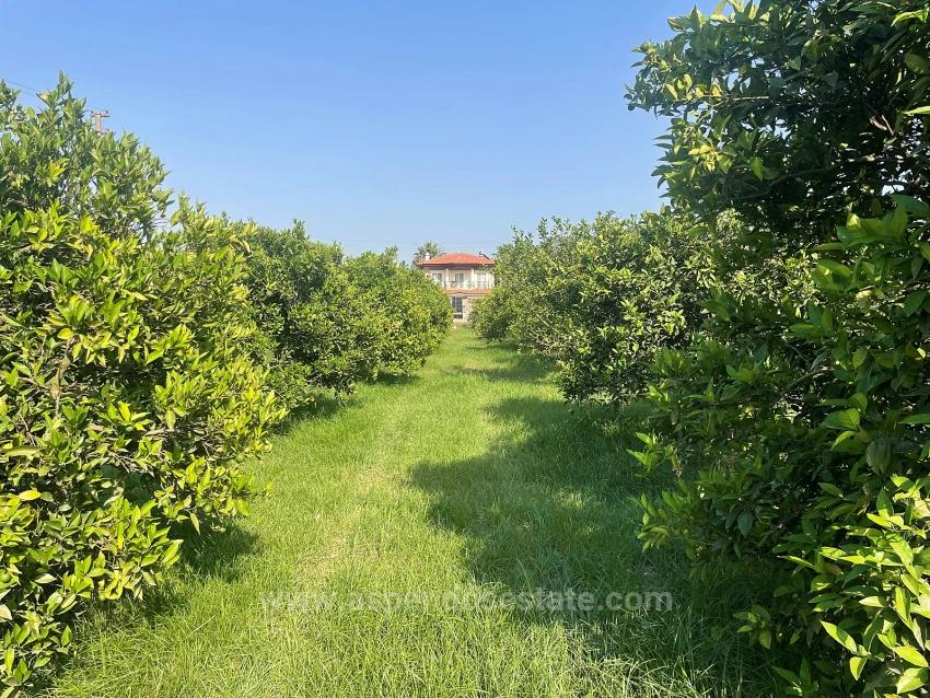 722M2 Land For Sale In Dalyan Gülpınar