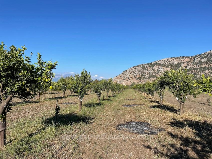 6600M2 Plot Of Land For Sale Near The Center Of Dalyan.