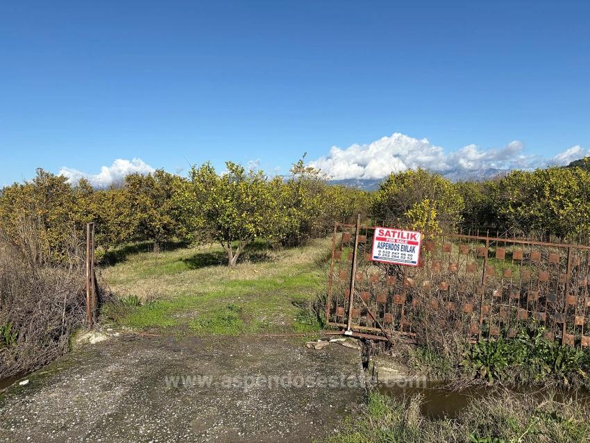 23,000M2 Detached Field And Garden For Sale In Tepearasın