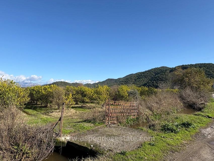 23,000M2 Detached Field And Garden For Sale In Tepearasın