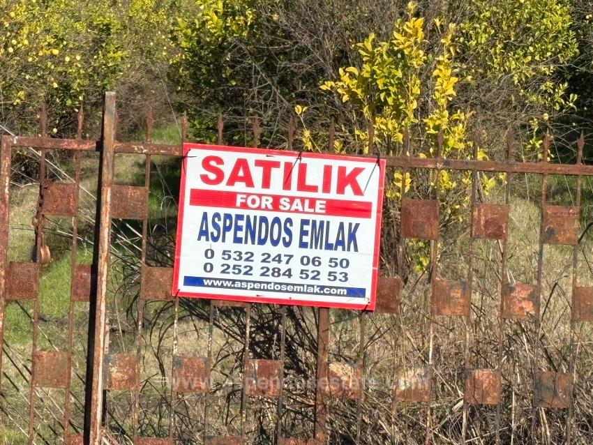 23,000M2 Detached Field And Garden For Sale In Tepearasın
