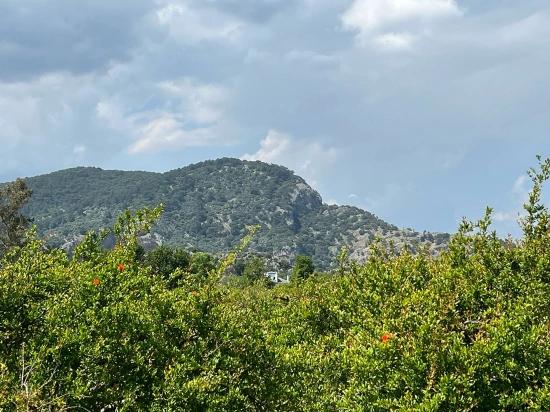 5,100 M² Plot Of Land For Sale In Dalyan, Maraş Area, Zoned For 5% Residential Use.