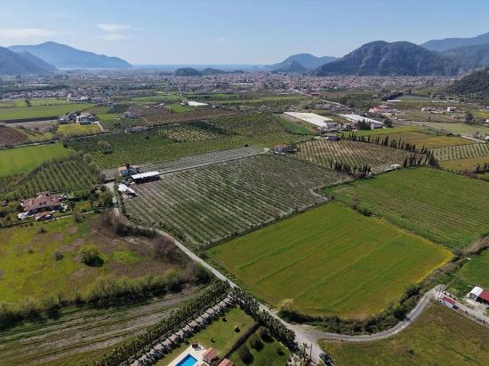 17.550M2 Vineyard-Bahce For Sale Close To Dalyan Center