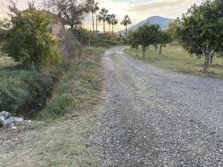 7,450 M² Plot Of Land For Sale In Dalyan With 5% Zoning.
