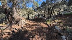 2B Field Of 5715M2 For Sale With Full Sea View In Çandır