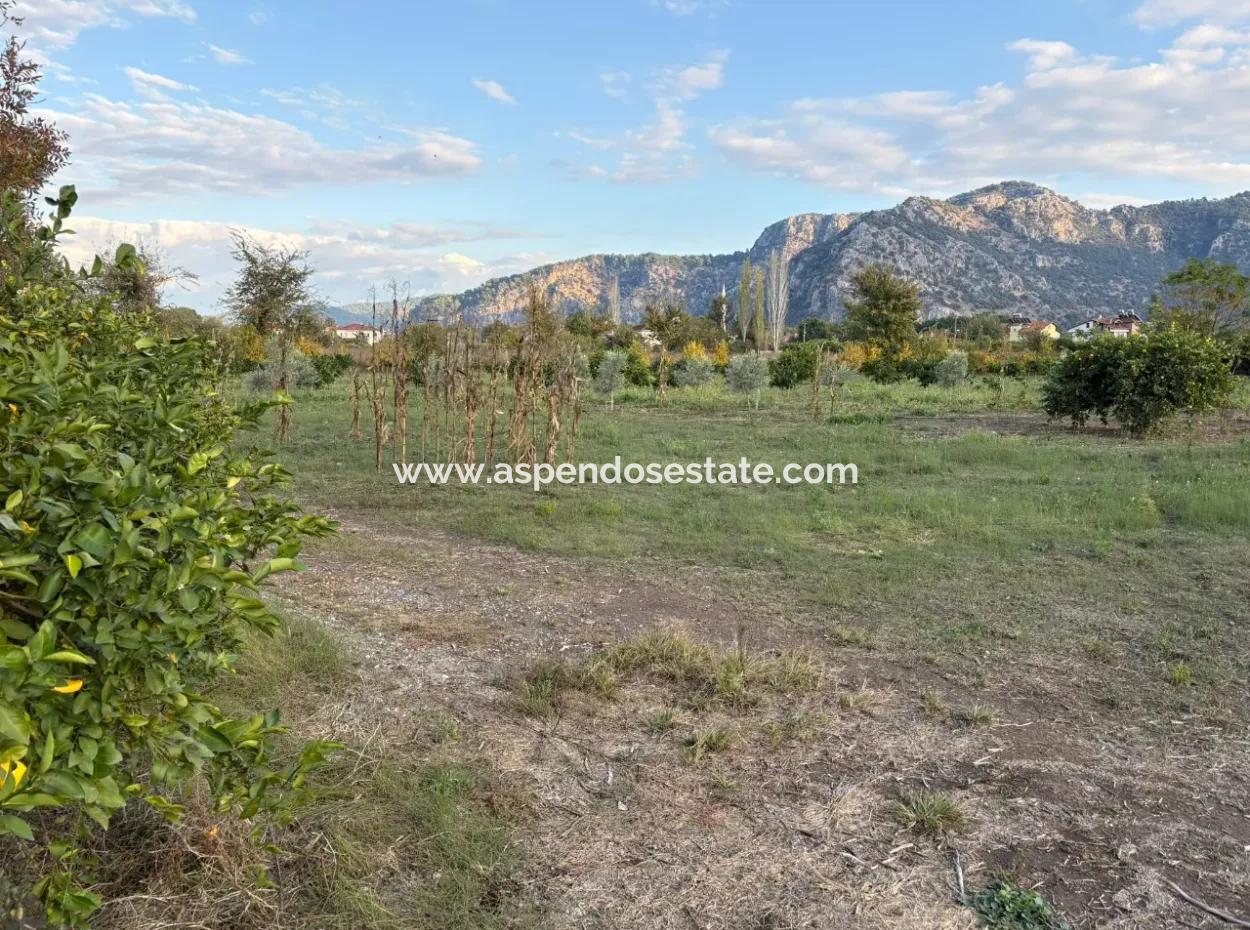7,450M2 Land For Sale Close To The Center Of Dalyan