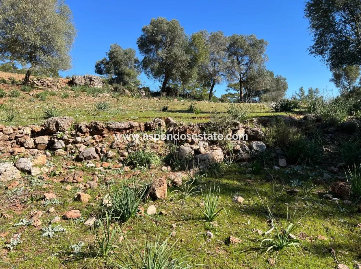 Land For Sale In Nature And Forest In Gökbel