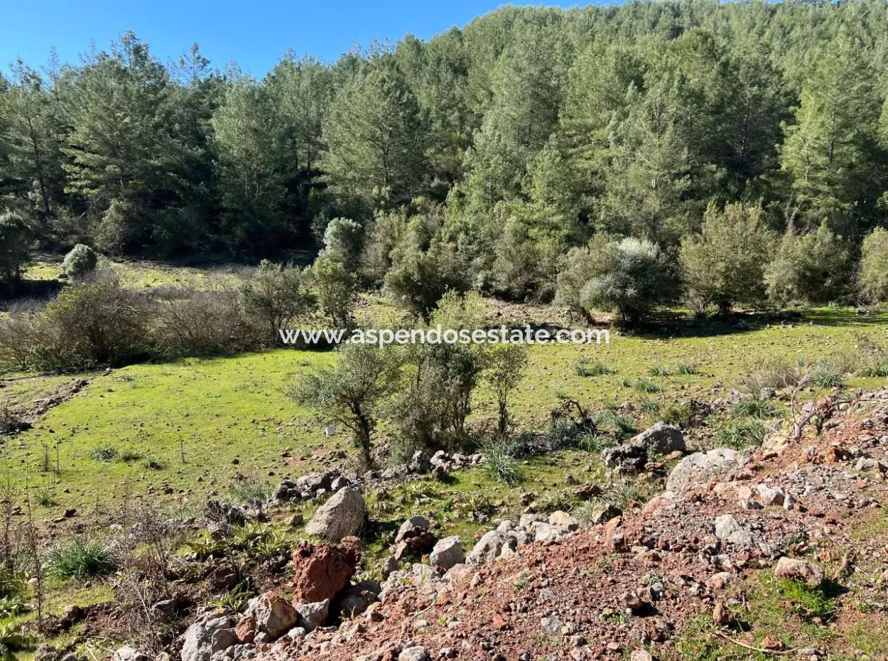 Land For Sale In Nature And Forest In Gökbel