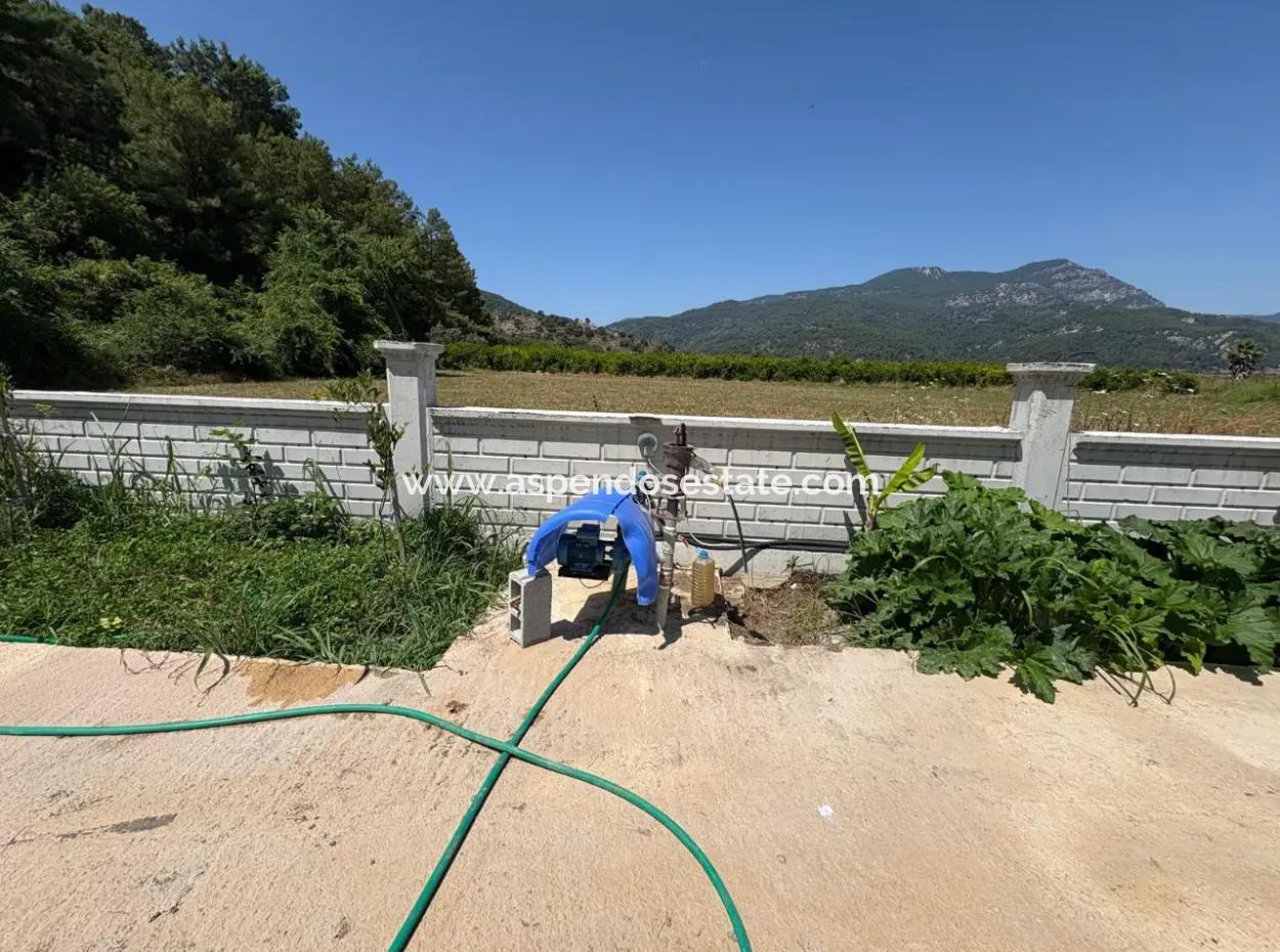 120M2 Detached Wooden House In A 2500M2 Field In Dalyan Karadağ