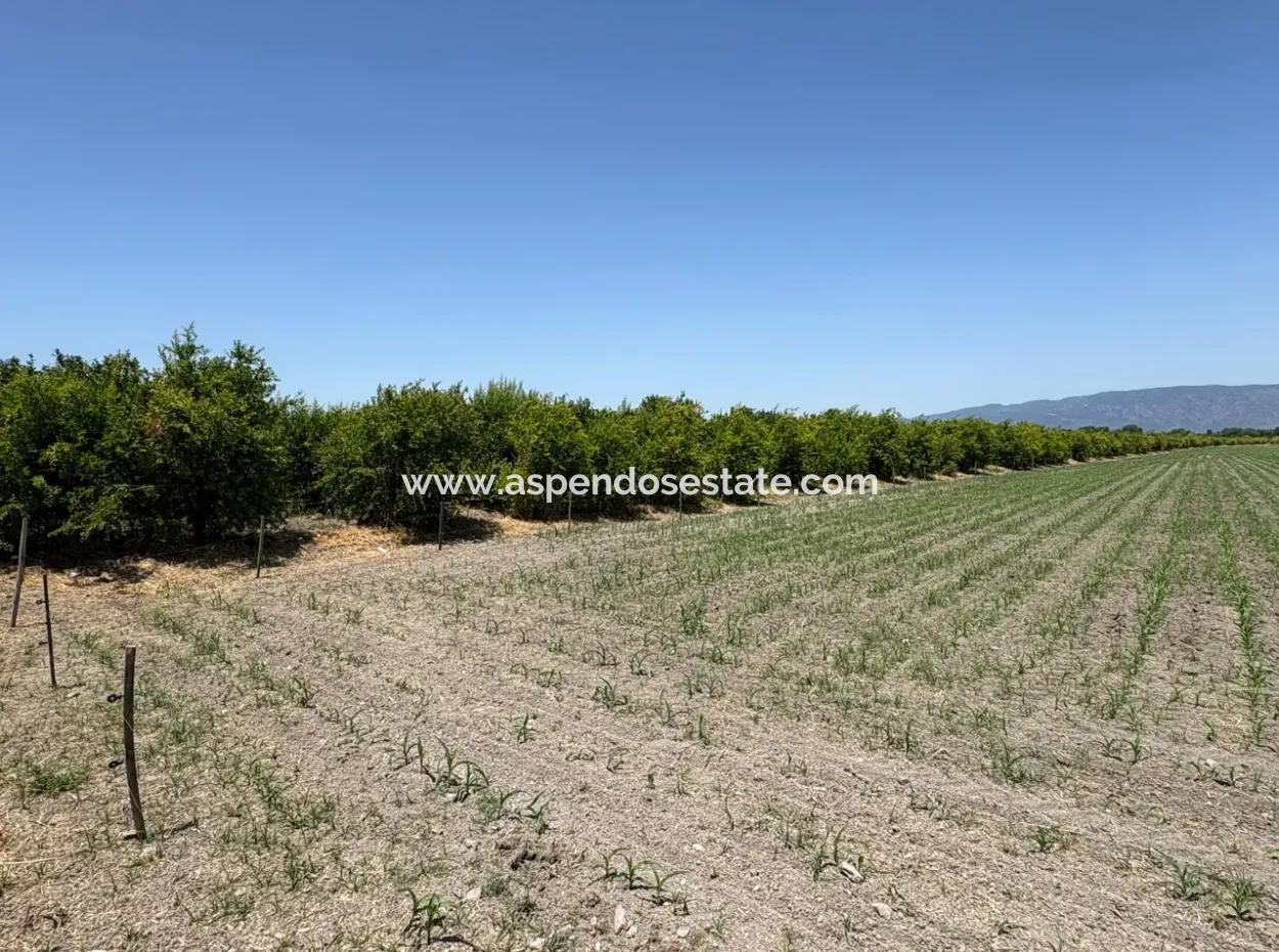 46,550M2 Land For Sale In Tepearası