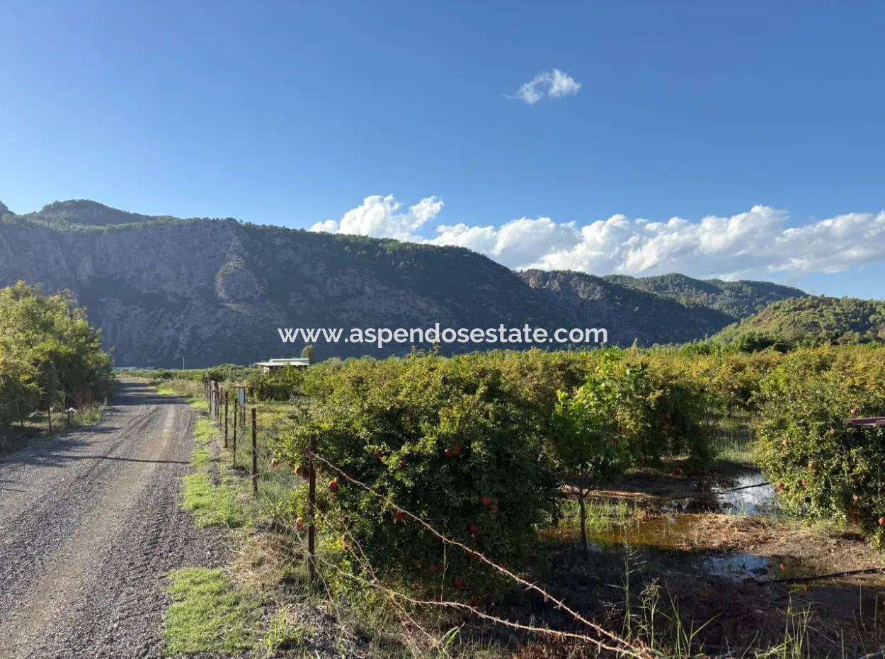 3900M2 Land For Sale In Ortaca Yeşilyurt