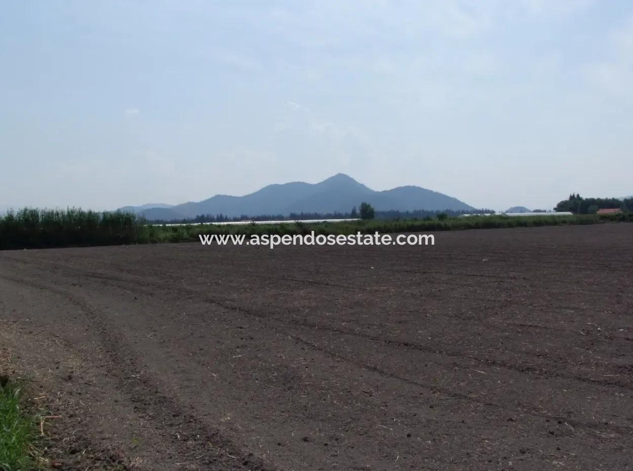 Farm For Sale In Dalyan Eskikoy Eskikoy Oriya 14,900M2 Plot For Sale Field