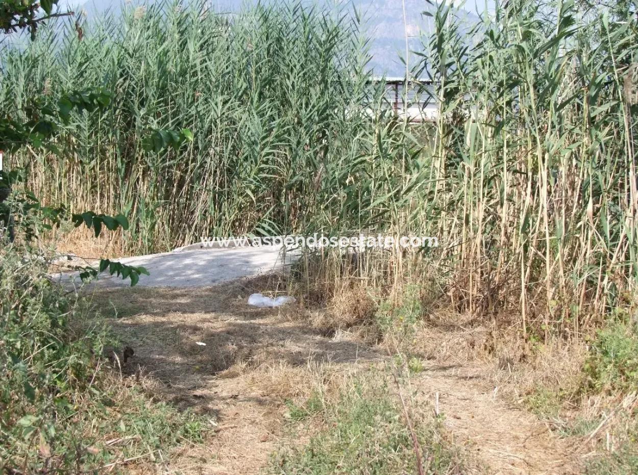 Farm For Sale In Dalyan Eskikoy Eskikoy Oriya 14,900M2 Plot For Sale Field