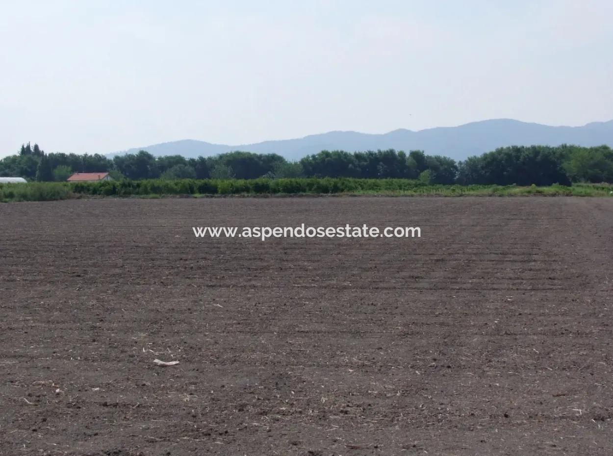 Farm For Sale In Dalyan Eskikoy Eskikoy Oriya 14,900M2 Plot For Sale Field
