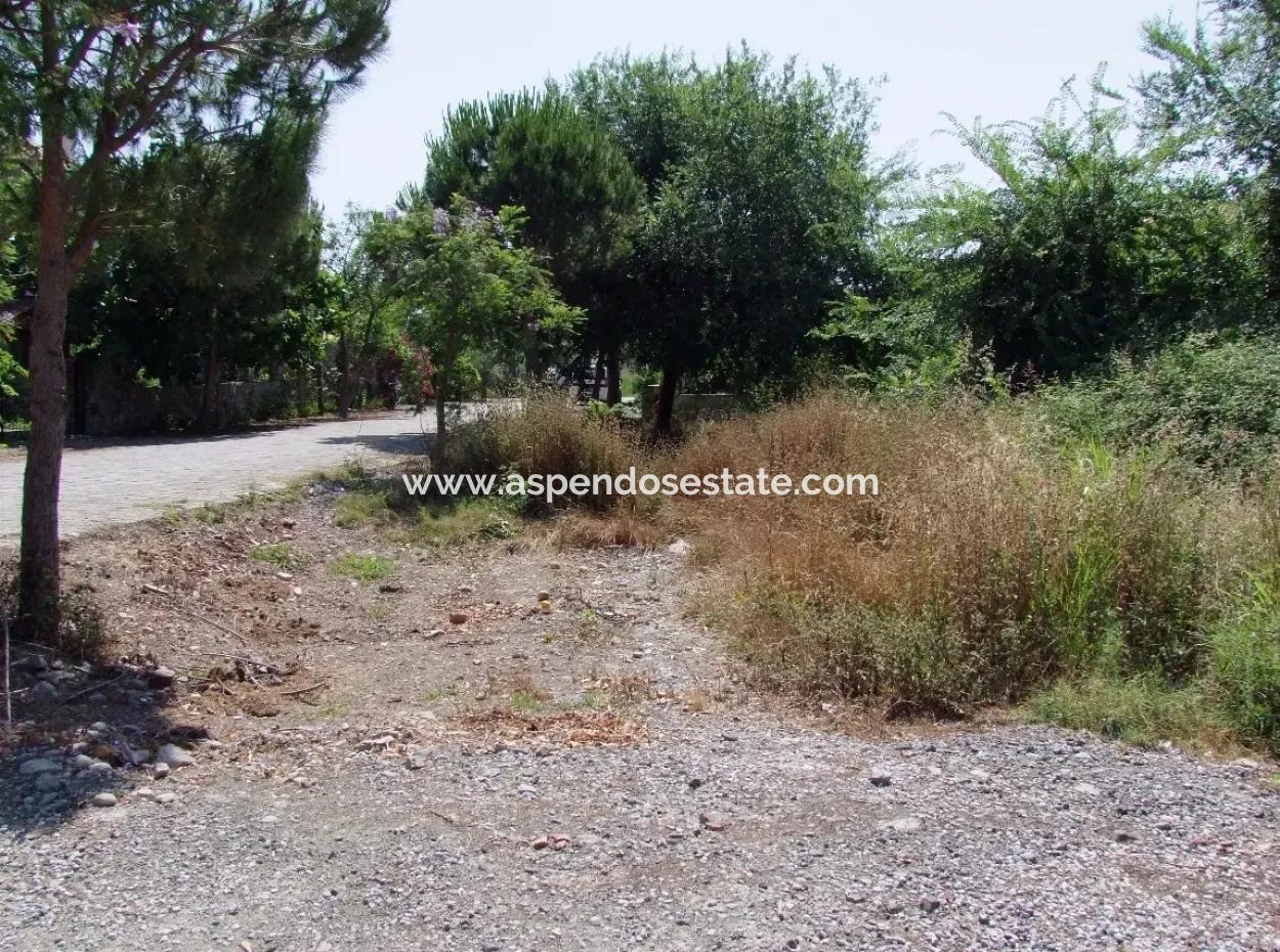 Gurpinar In Dalyan For Sale Dalyan Land For Sale, Plot For Sale In Köşebaşı 993M2 0 60
