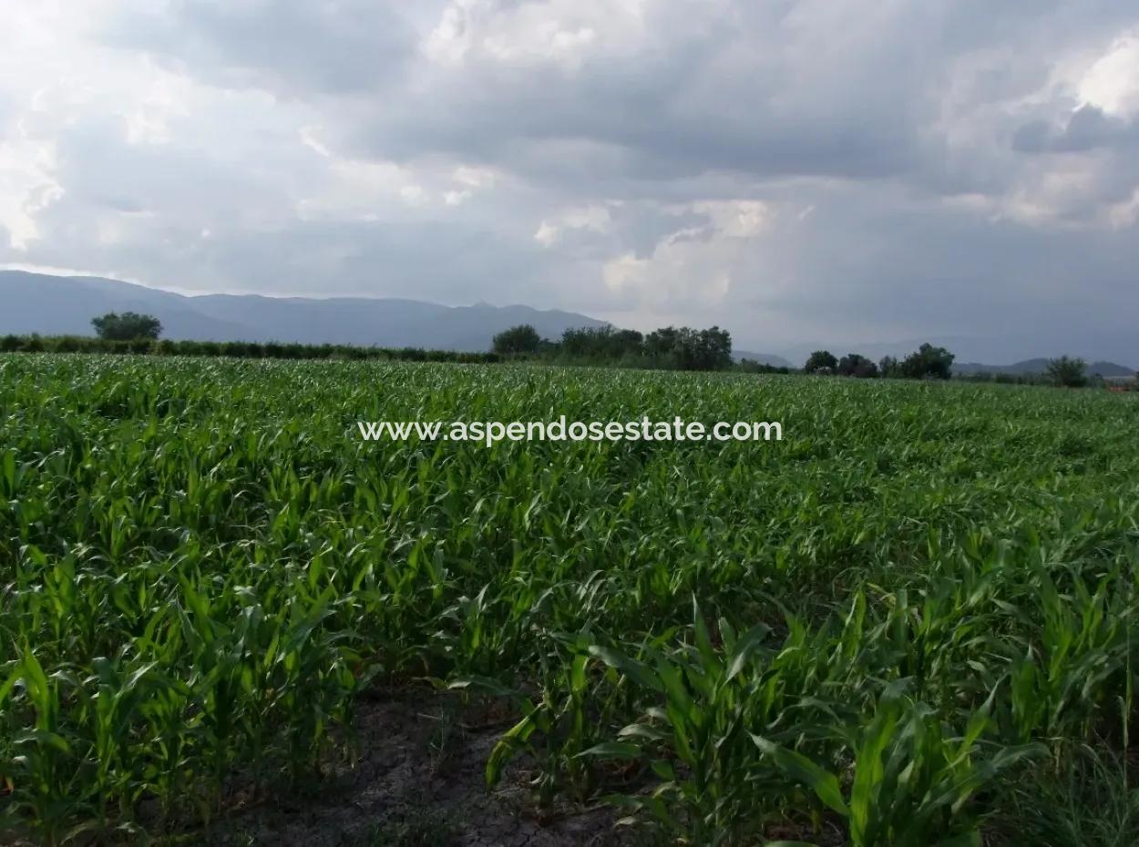 Farm For Sale Near The Centre Of Dalyan,14, 612M2 Farm For Sale