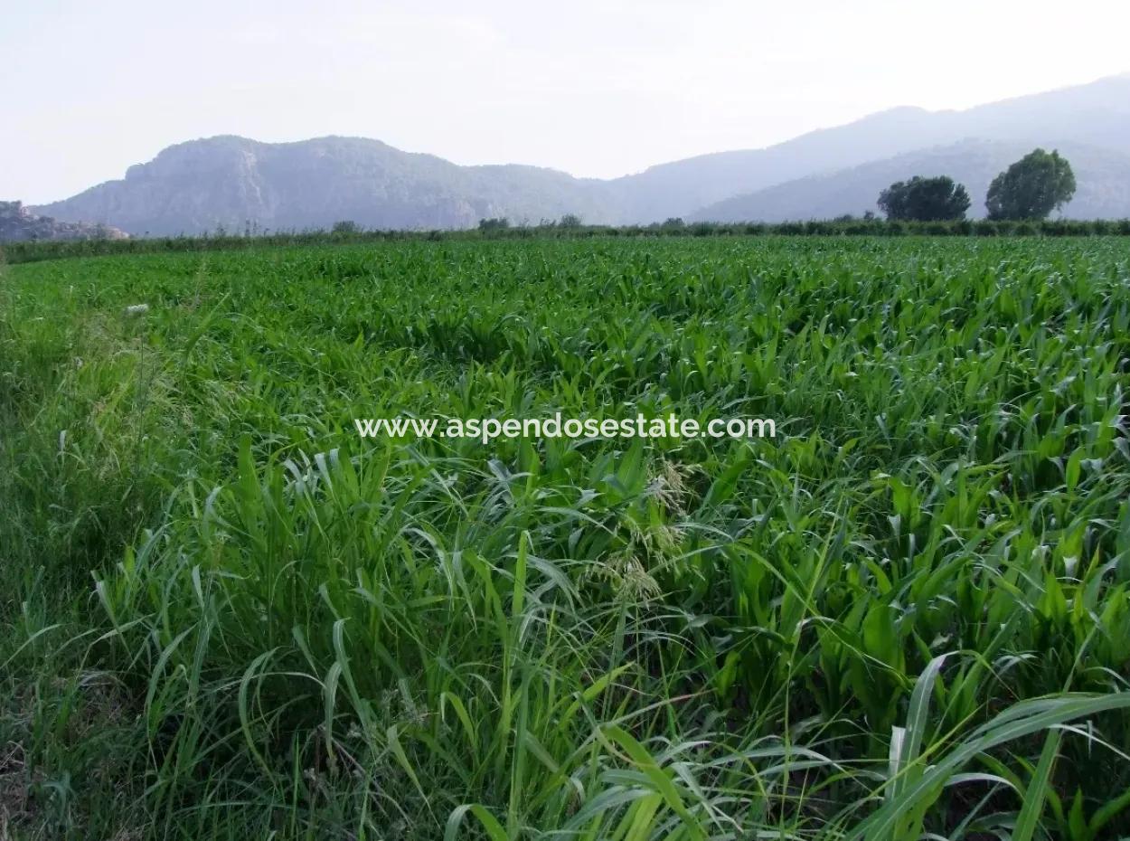 Farm For Sale Near The Centre Of Dalyan,14, 612M2 Farm For Sale