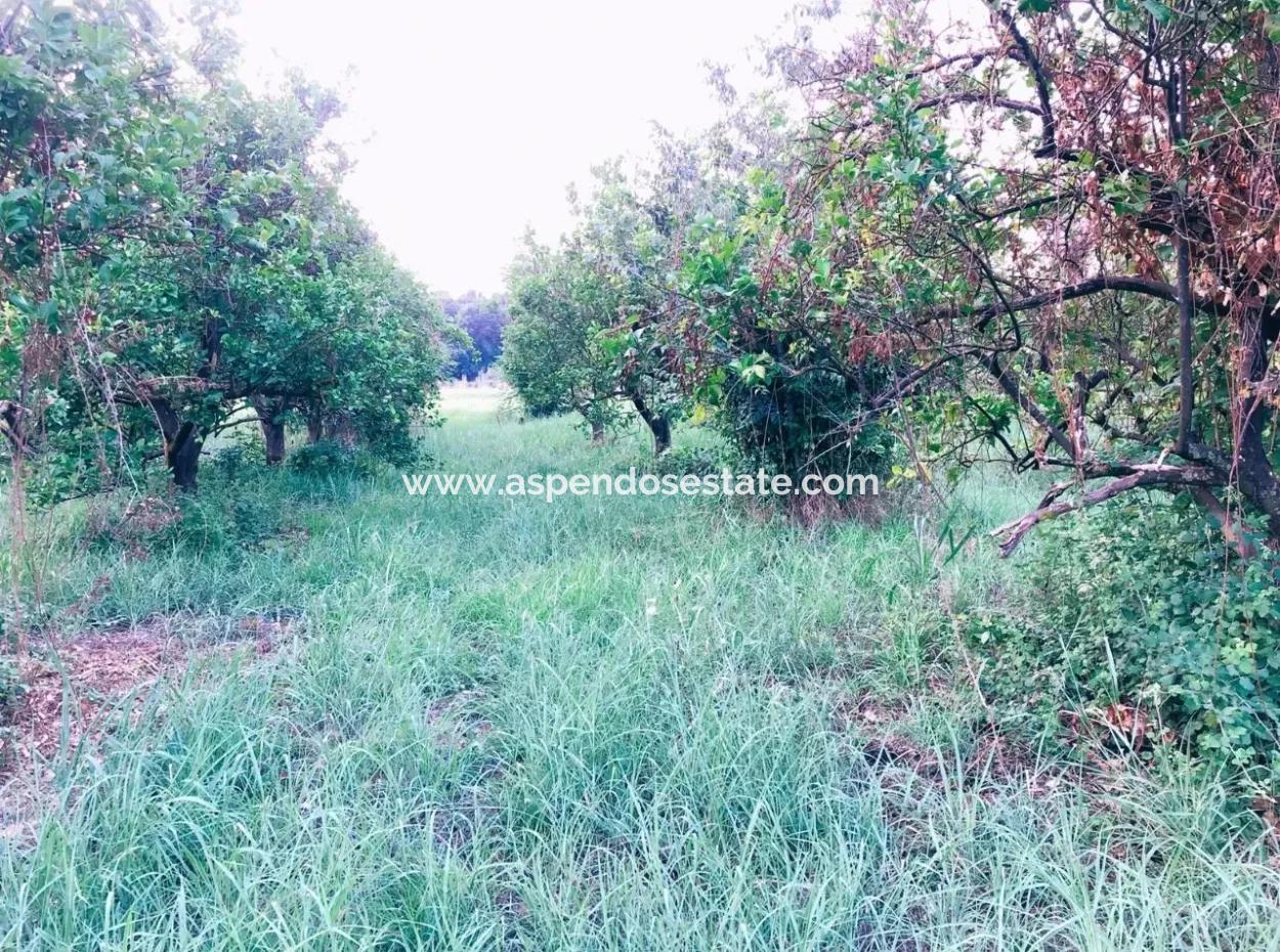 Archer In The Archers Plot For Sale For Sale In Marmarli 1,500M2 Plot For Sale