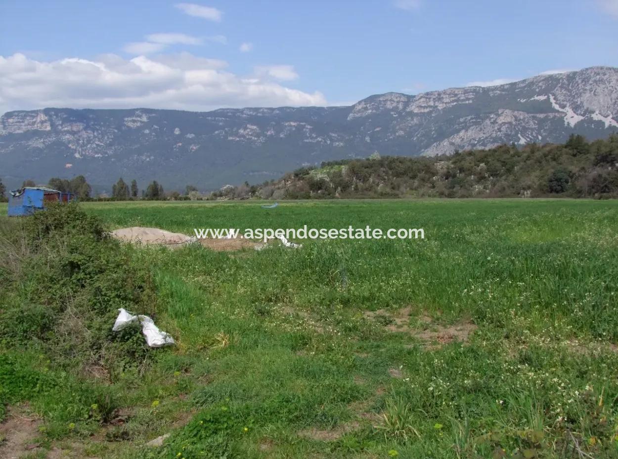 In Akyaka For Sale: Land For Sale Farm For Sale A Farm Near The Sea Of Ars, Yatirimlik 21625M2