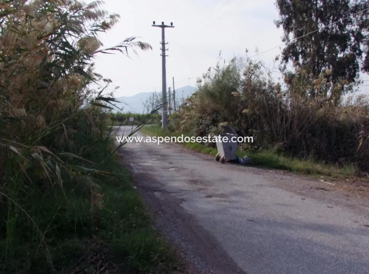 For Sale Land In Dalyan For Sale Dalyan Channel Zero