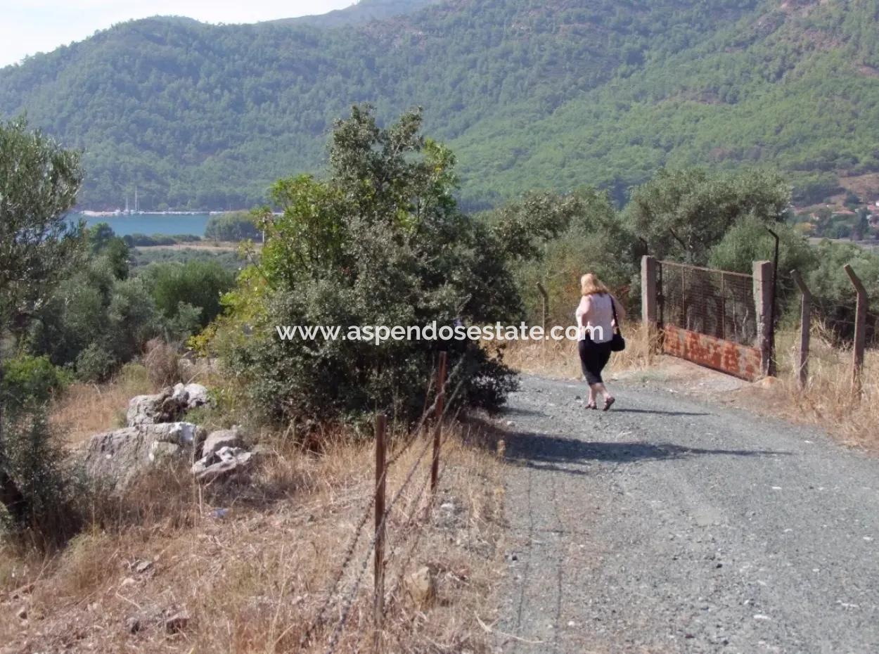 For Sale In Ekincik 5,391M2 Plot For Sale