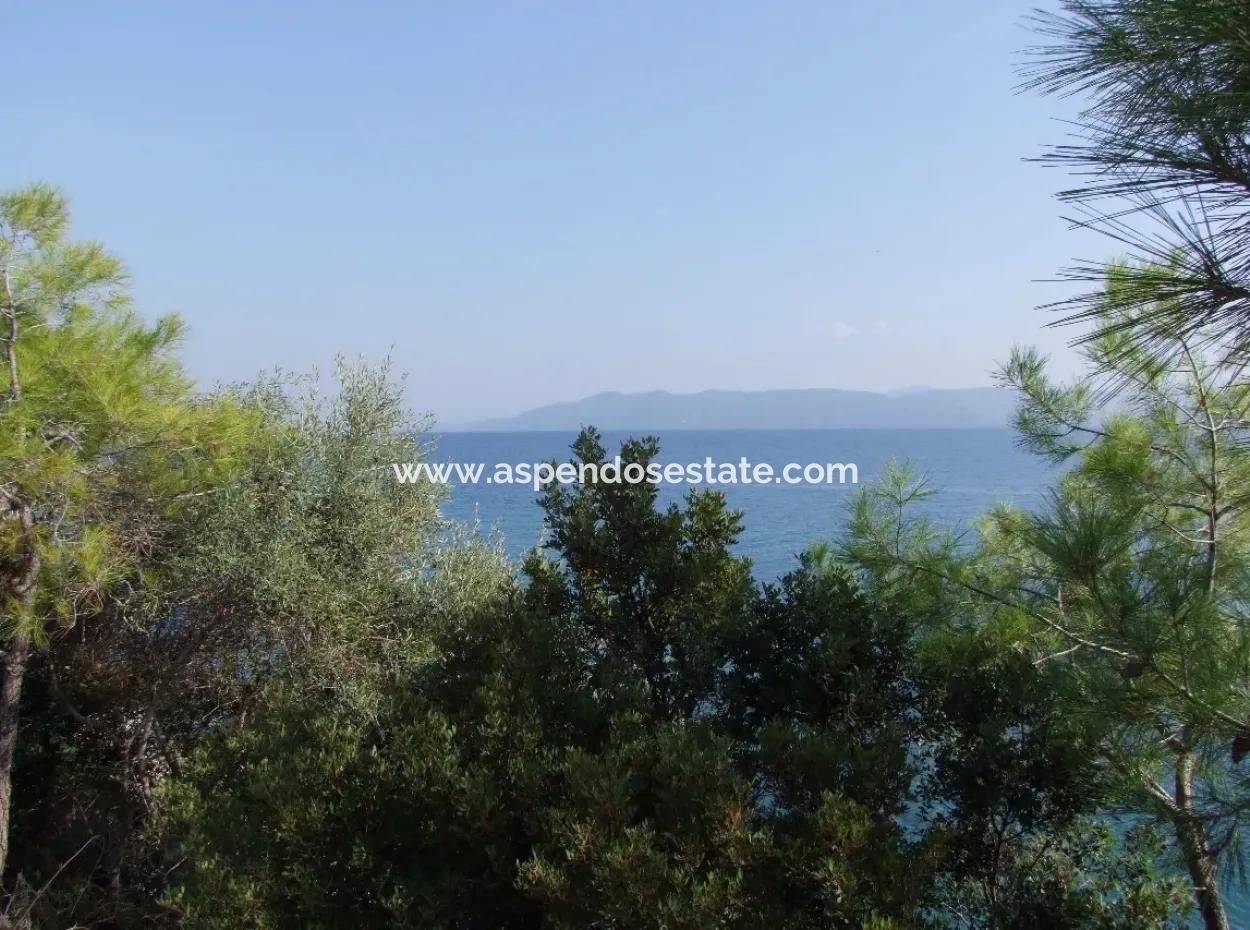 Beachfront Bungalow For Sale In Akbuk By The Sea In A Plot Of 800M2 Villa For Sale Turnalı