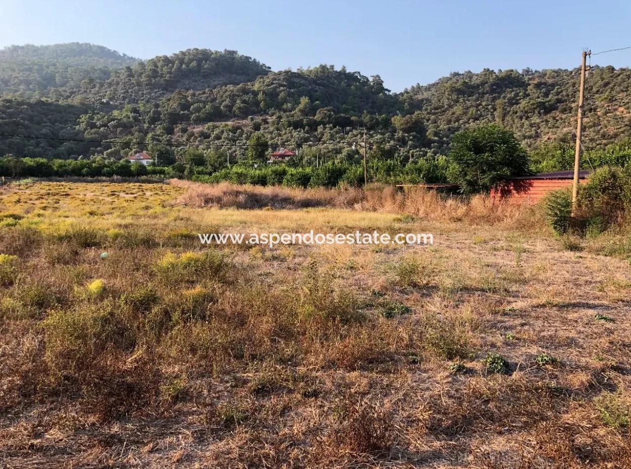 2300M2 Land For Sale Near The Center Of The Land For Sale