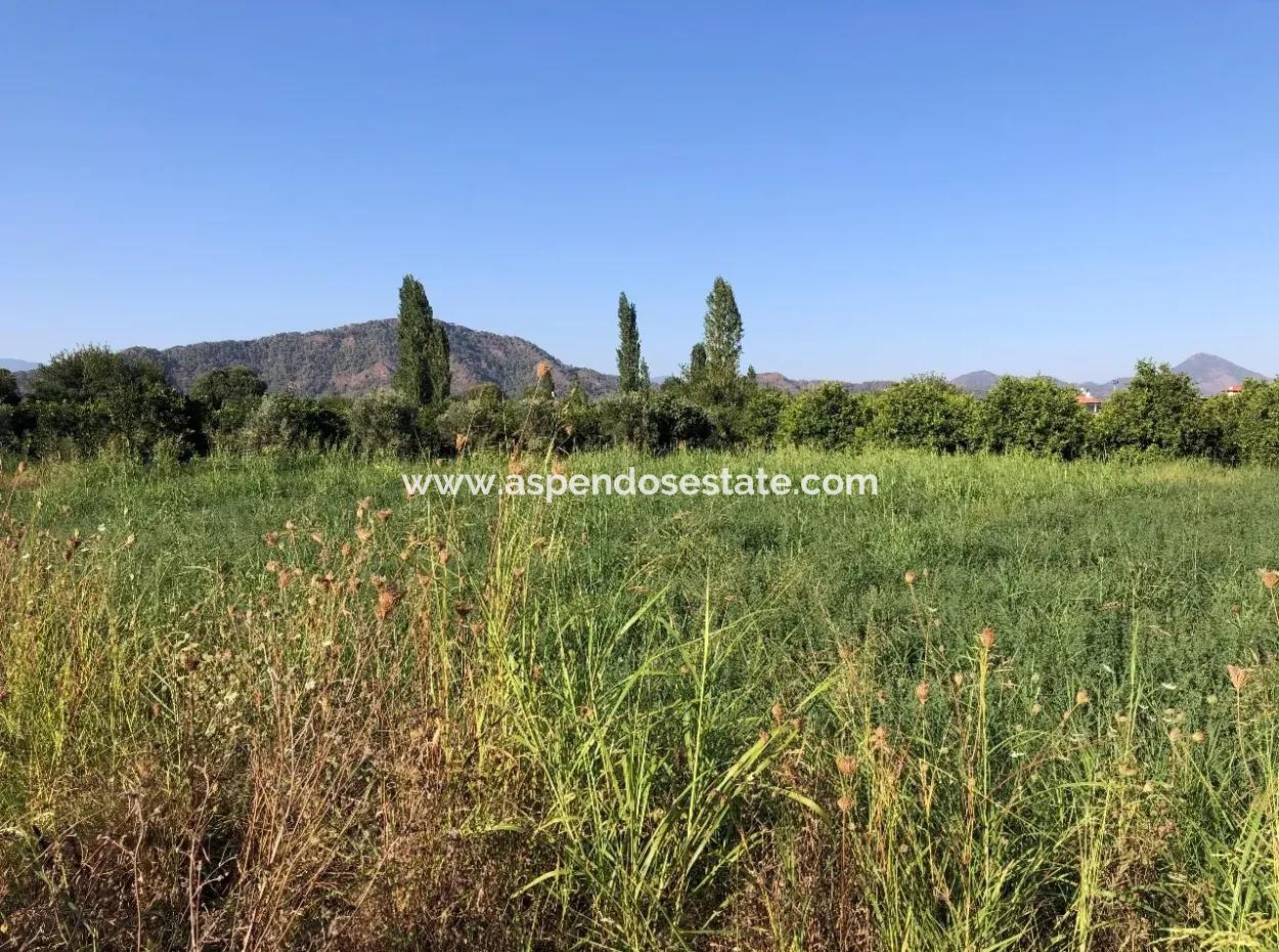 Land For Sale In The Center 891M2 Land For Sale