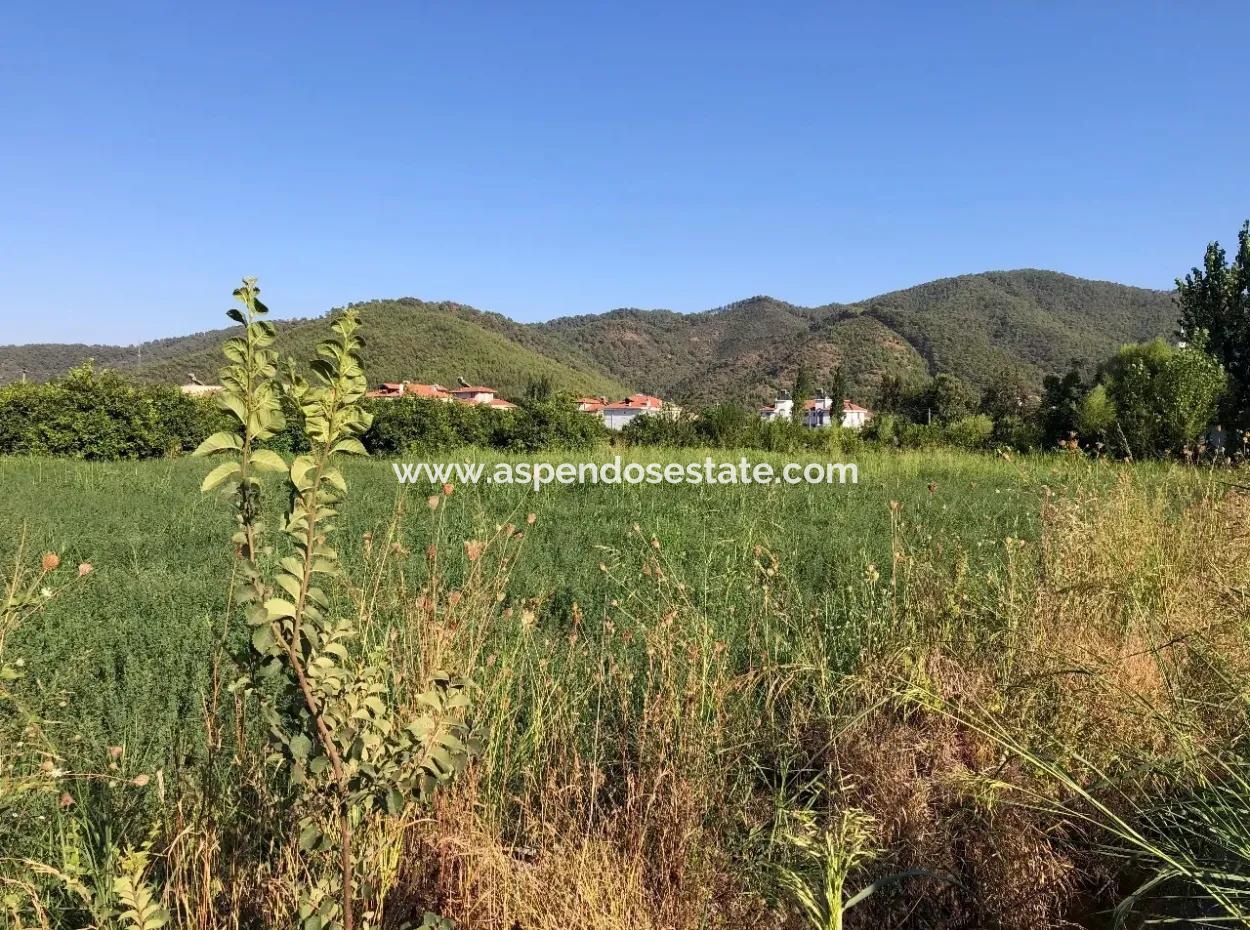 Land For Sale In The Center 891M2 Land For Sale