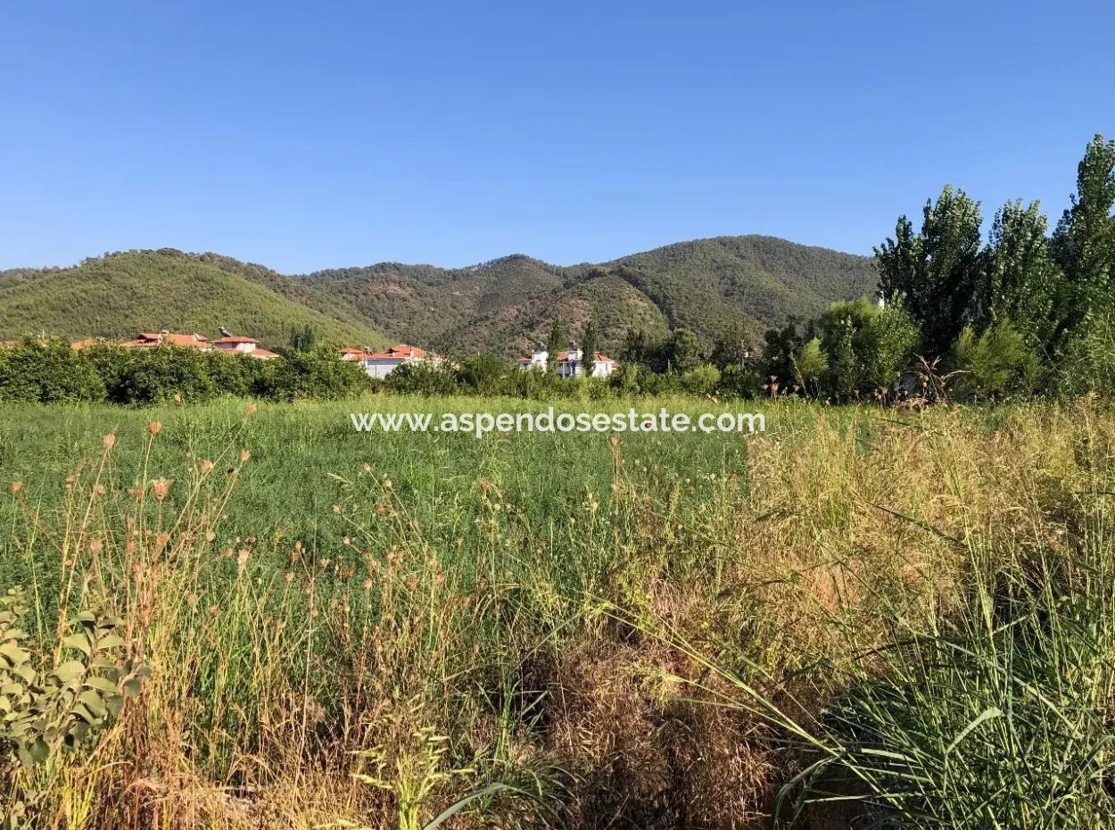 Land For Sale In The Center 891M2 Land For Sale