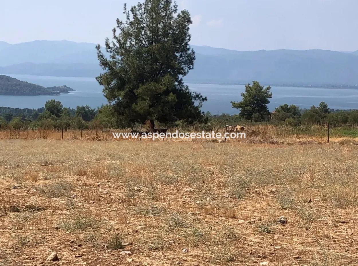 11.227M2 Land For Sale With Lake Views In Köyceğiz Zeytinalanı