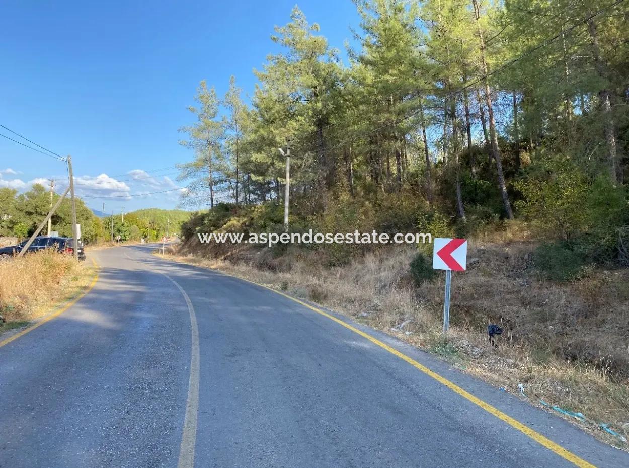 Land For Sale On 2506M2 Mainroa In Kavakarası