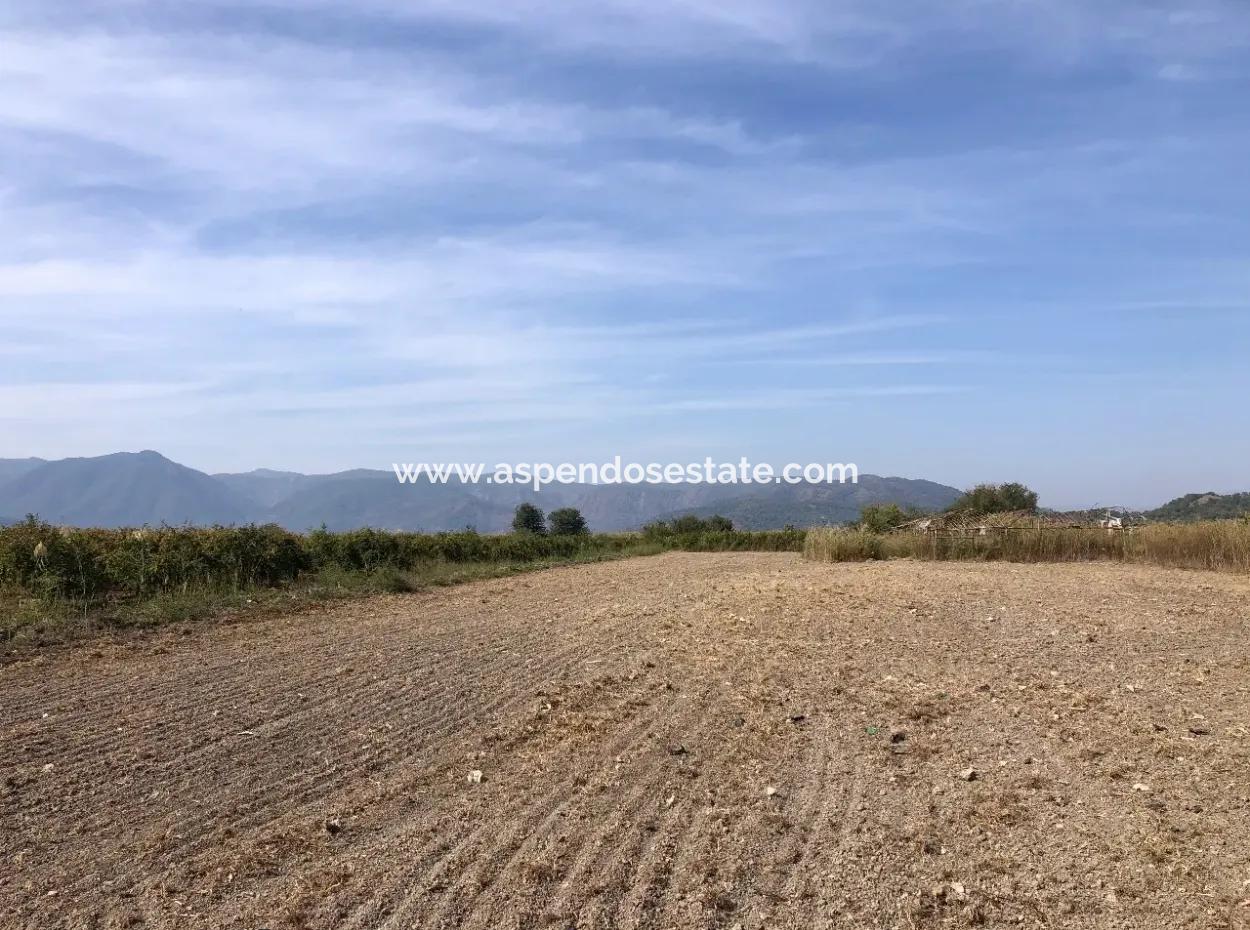 Land For Sale In Esköy 8500M2 Field Land For Sale