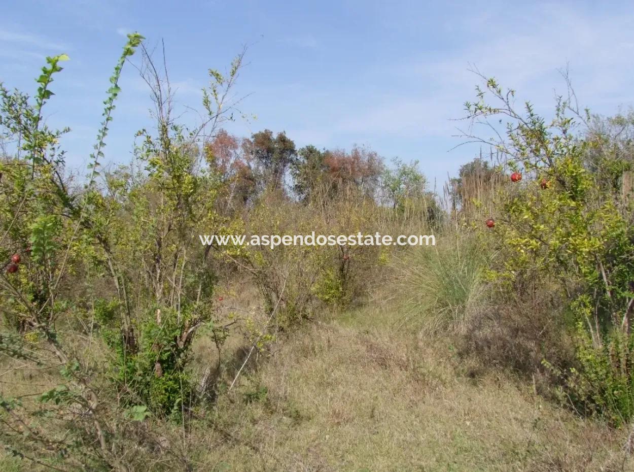 Güzelyurt Land For Sale Village Built 6670M2 Land For Sale