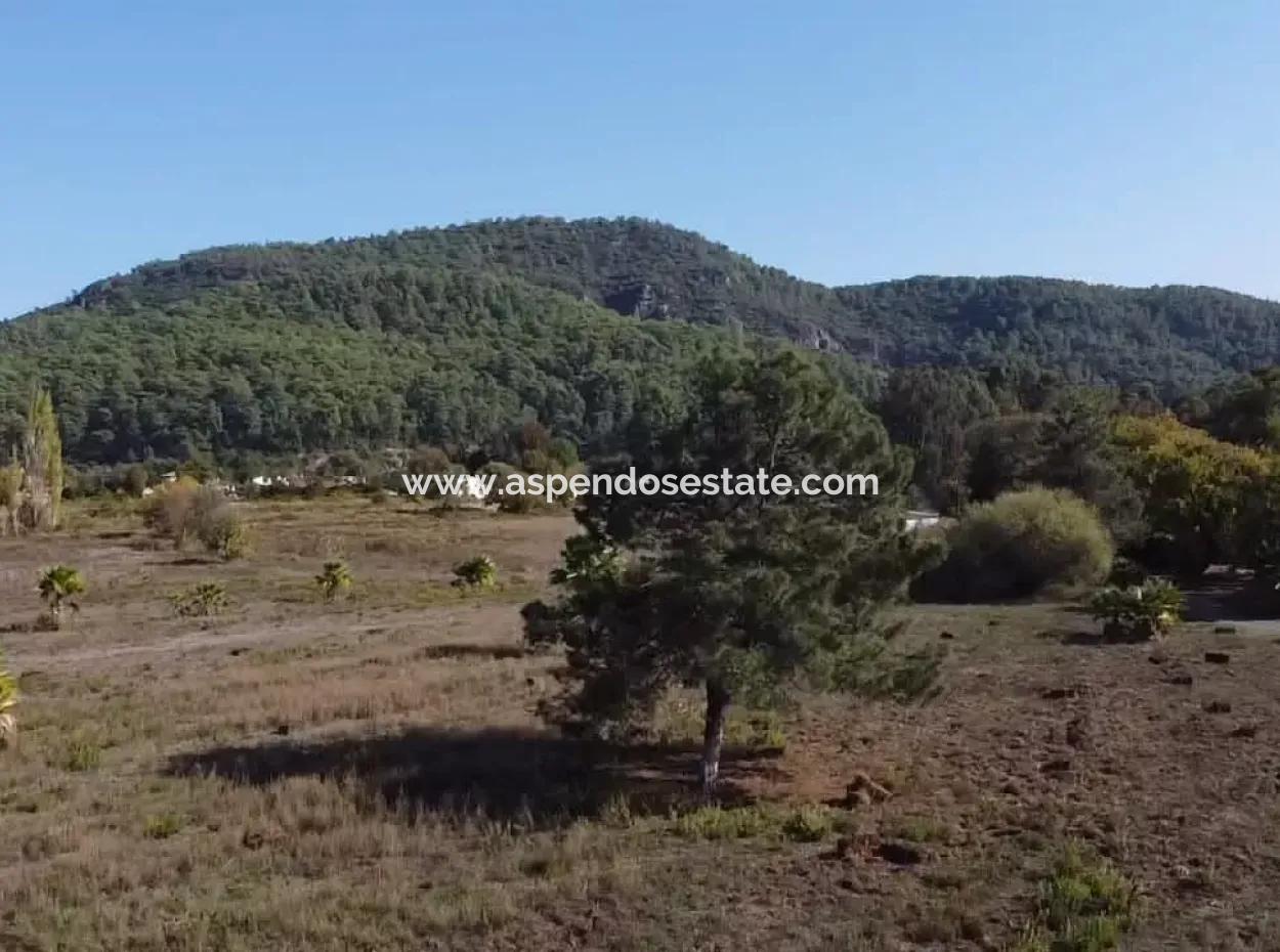 Land Land For Sale In Çamlıda Marmaris Çamlıda Sea View 11720M2 Land For Sale