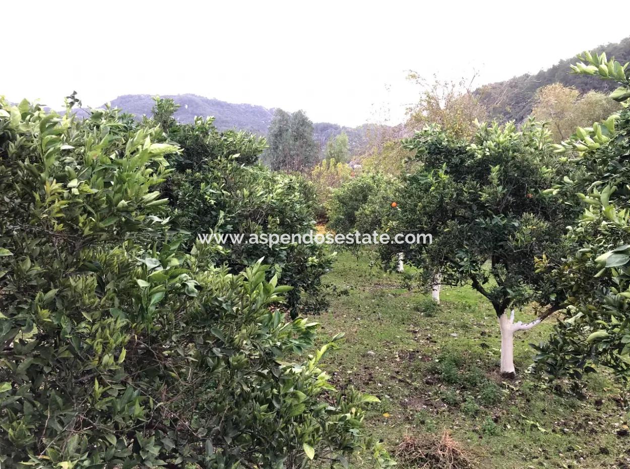 Single-Storey Detached House For Sale In 1222M2 Plot In Archers