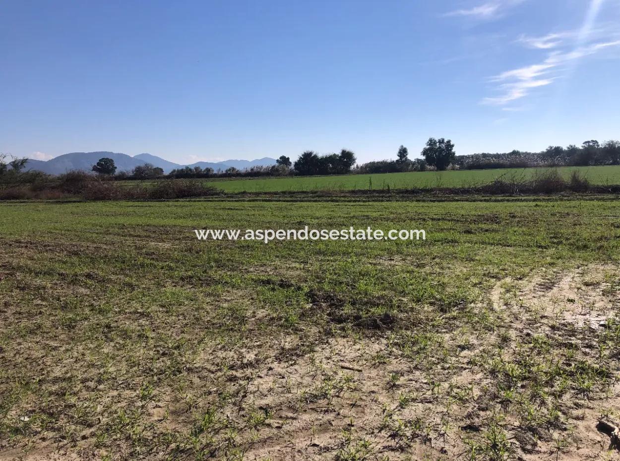Land For Sale In Sarıgermede 30,000M2 Land For Sale With Sea View