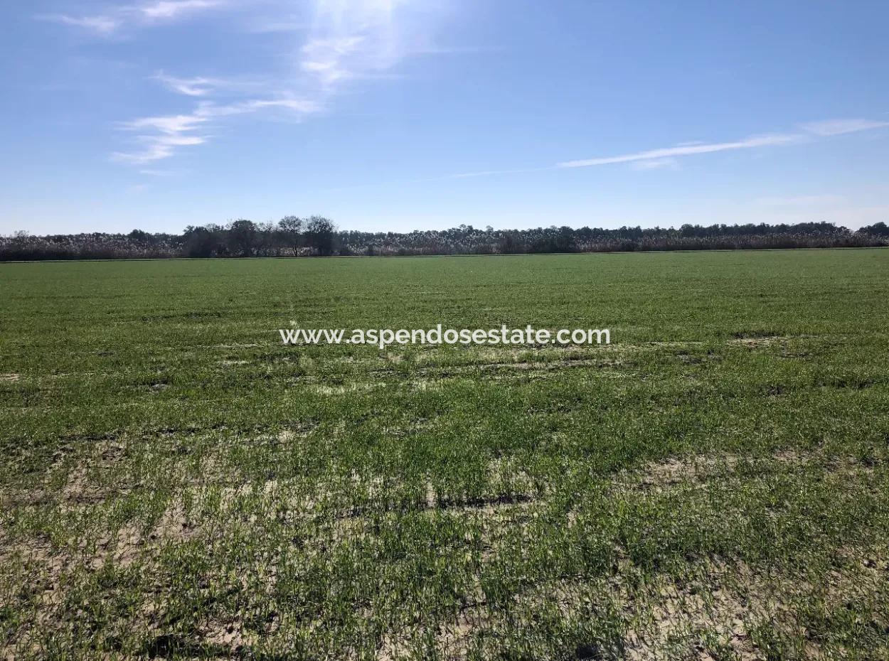 Land For Sale In Sarıgermede 30,000M2 Land For Sale With Sea View