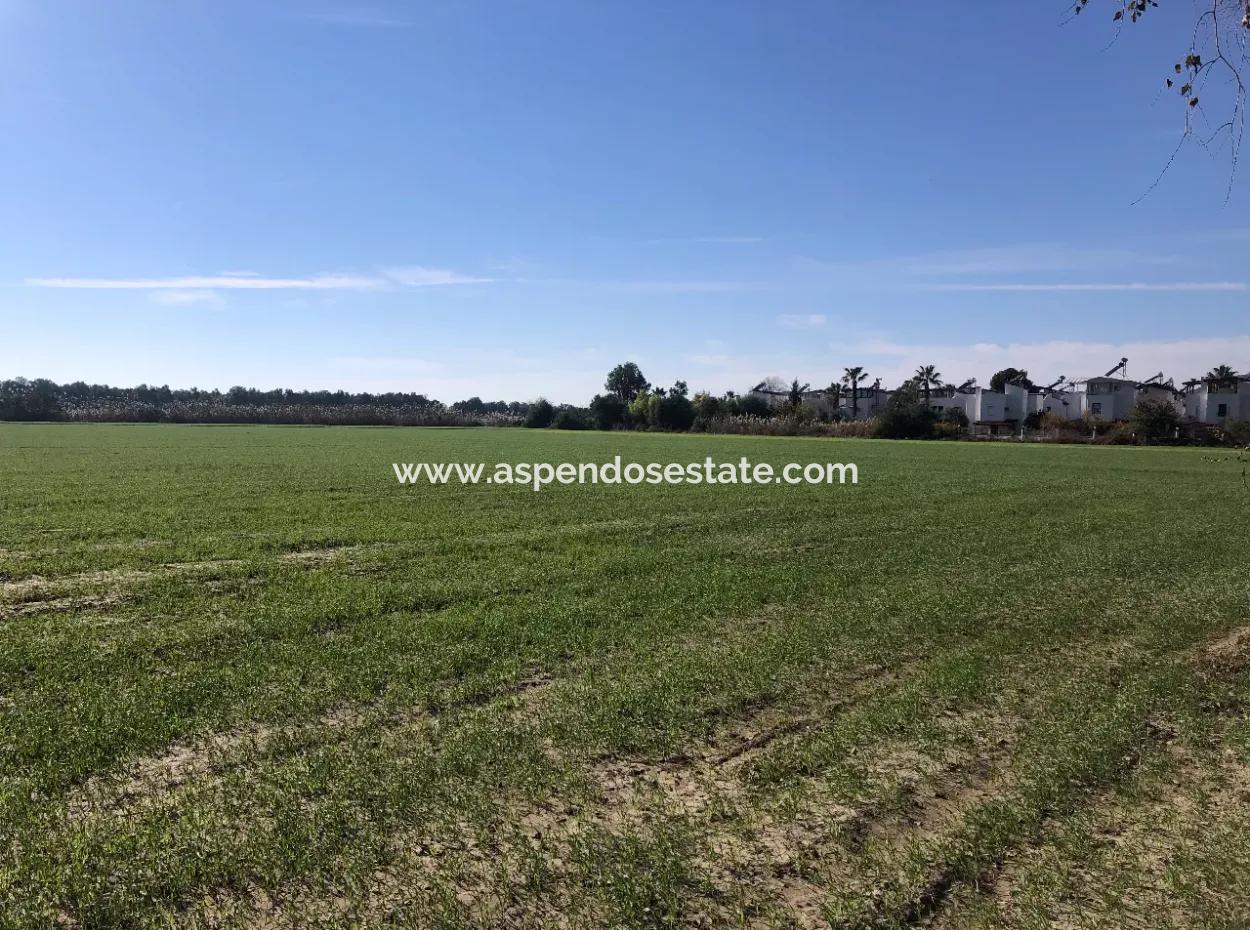 Land For Sale In Sarıgermede 30,000M2 Land For Sale With Sea View